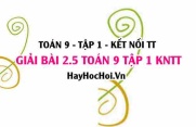 Bài 2.5 Toán 9 tập 1 SGK Kết nối tri thức